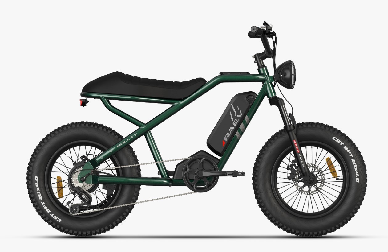 Fat tire ebike online reviews