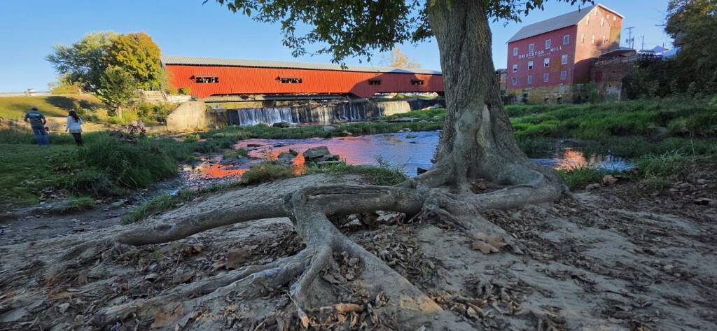 Tree roots and the Big Raccoon Creek with the Bridgeton Covered Bridge
